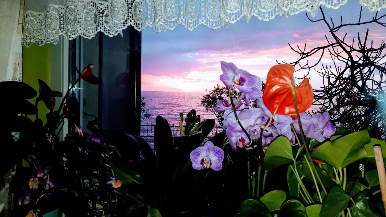 Apartments Nevjestic พรีมอชเตน ภายนอก รูปภาพ